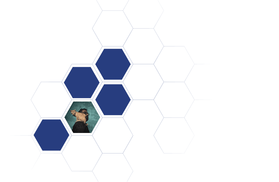 Built the Genesys Way